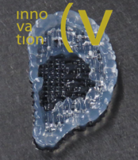 Die Potenziale bionischer Innovationen am Beispiel Spinnenseide 